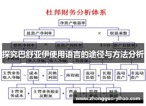 探究巴舒亚伊使用语言的途径与方法分析