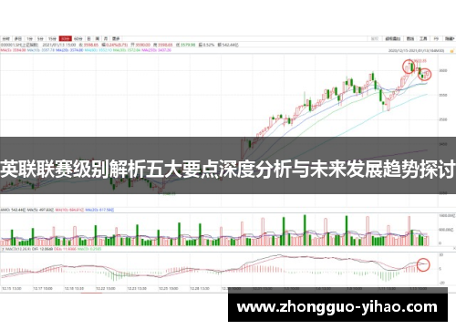 英联联赛级别解析五大要点深度分析与未来发展趋势探讨