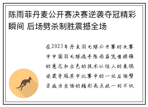 陈雨菲丹麦公开赛决赛逆袭夺冠精彩瞬间 后场劈杀制胜震撼全场